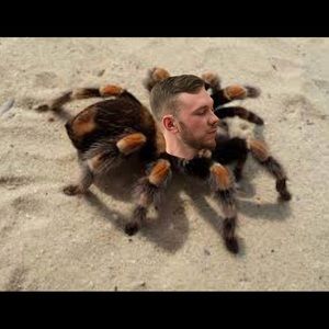 Meet your Posher, Trent